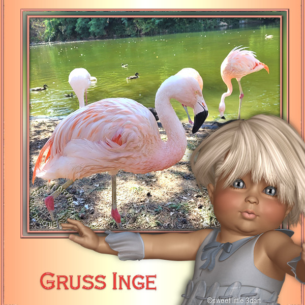 An den Beitrag angehängtes Bild: http://www.inges-bilderland.de/Grussbilder/foto_00019.jpg