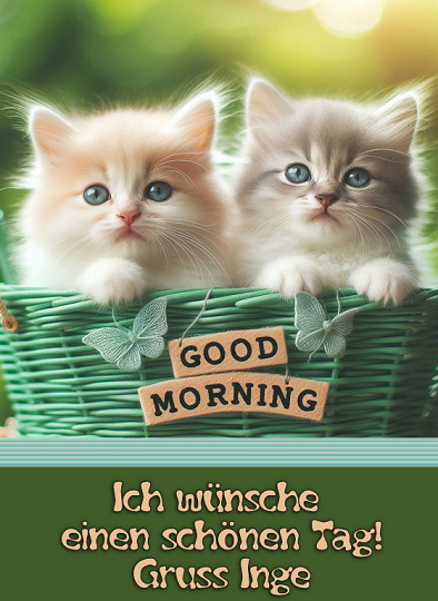 An den Beitrag angehängtes Bild: https://www.inges-bilderland.de/Grussbilder/grossgruss_morgen_11.jpg